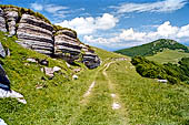 Monte Baldo (Trentino) - affioramenti di Ammonitico. 